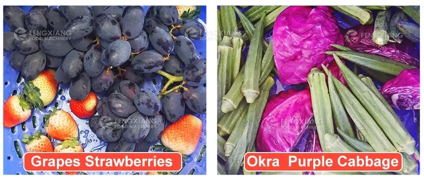 Машина для мойки фруктов и овощей пузырькового типа и центробежный дегидратор