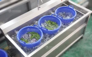 Машина для мойки овощей с пузырьками