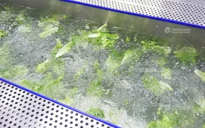 Машина для мойки фруктов и овощей