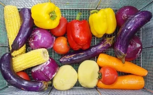 машина для мойки овощей