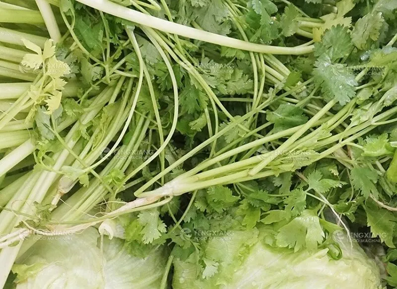 Машина для мойки фруктов и овощей пузырькового типа и центробежный дегидратор