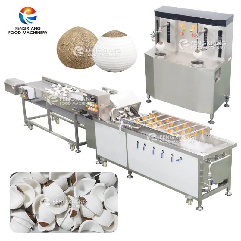 Машина для очистки и мойки кокоса – двухголовочная с пузырьковой мойкой