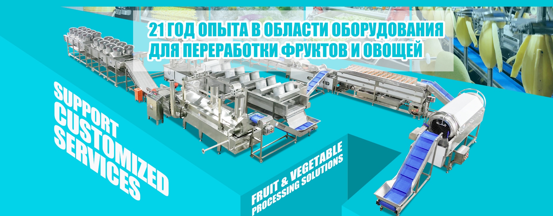 Оборудование для переработки фруктов и овощей