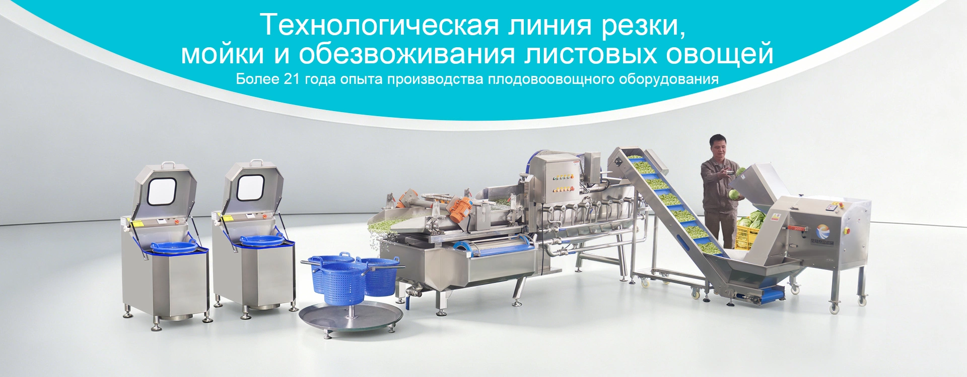 Линия по мойке и нарезке овощей