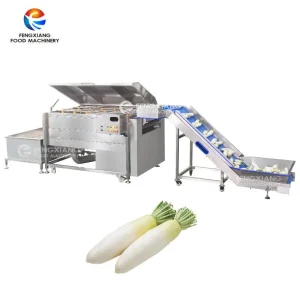 машина для мойки редиса