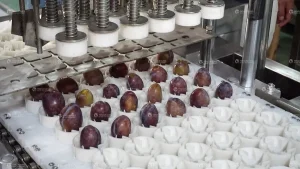 Машина для удаления косточек из чернослива