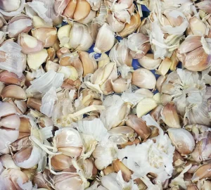 машина для разделения чеснока