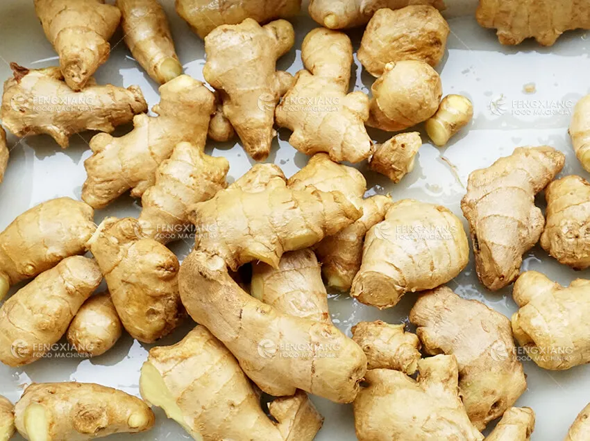 Машина для стирки таро, барабанная машина для мойки корнеплодов