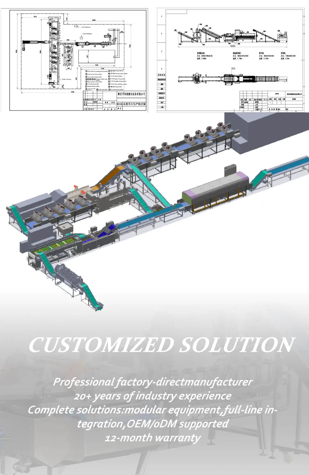 Линия по переработке ананасов – Полностью автоматизированное решение для очистки, резки и сушки