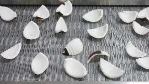 свежий очищенный кокос после мойки