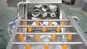 система пузырьковой мойки мякоти кокоса