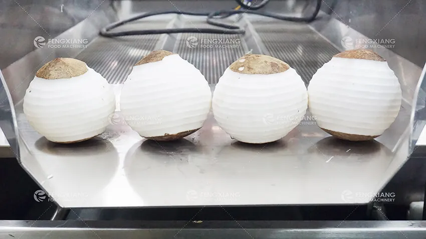 Машина для очистки и мойки кокоса – двухголовочная с пузырьковой мойкой