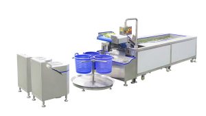 линия сортировки и мойки овощей промышленная