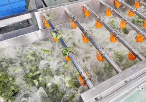 оборудование для мойки салата с циркуляцией воды