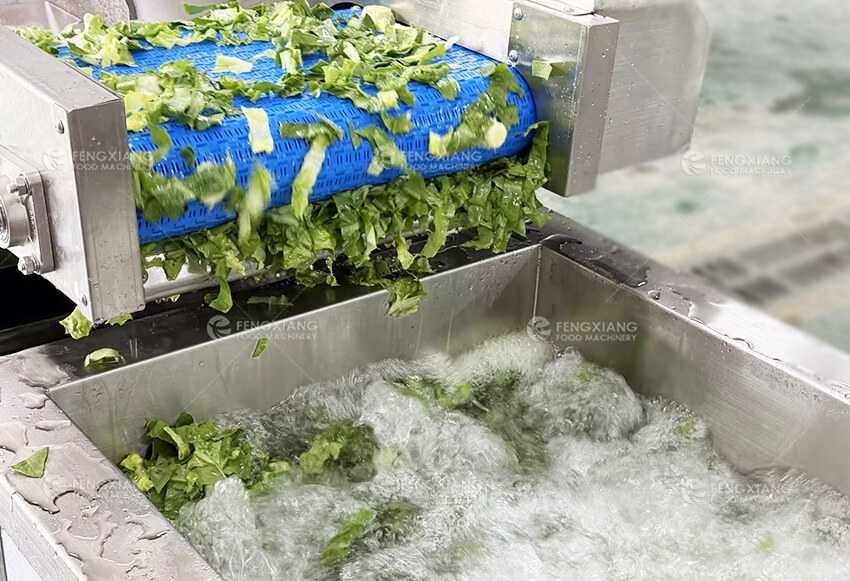 Линия переработки салатов для листовых овощей | Оборудование для мойки, резки и сушки