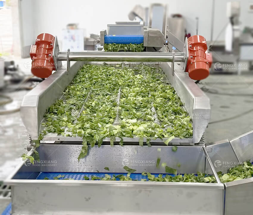Линия переработки салатов для листовых овощей | Оборудование для мойки, резки и сушки
