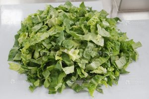 готовые салаты после обработки линия производства