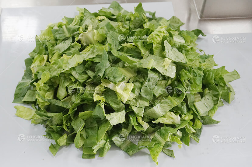 Линия переработки салатов для листовых овощей | Оборудование для мойки, резки и сушки