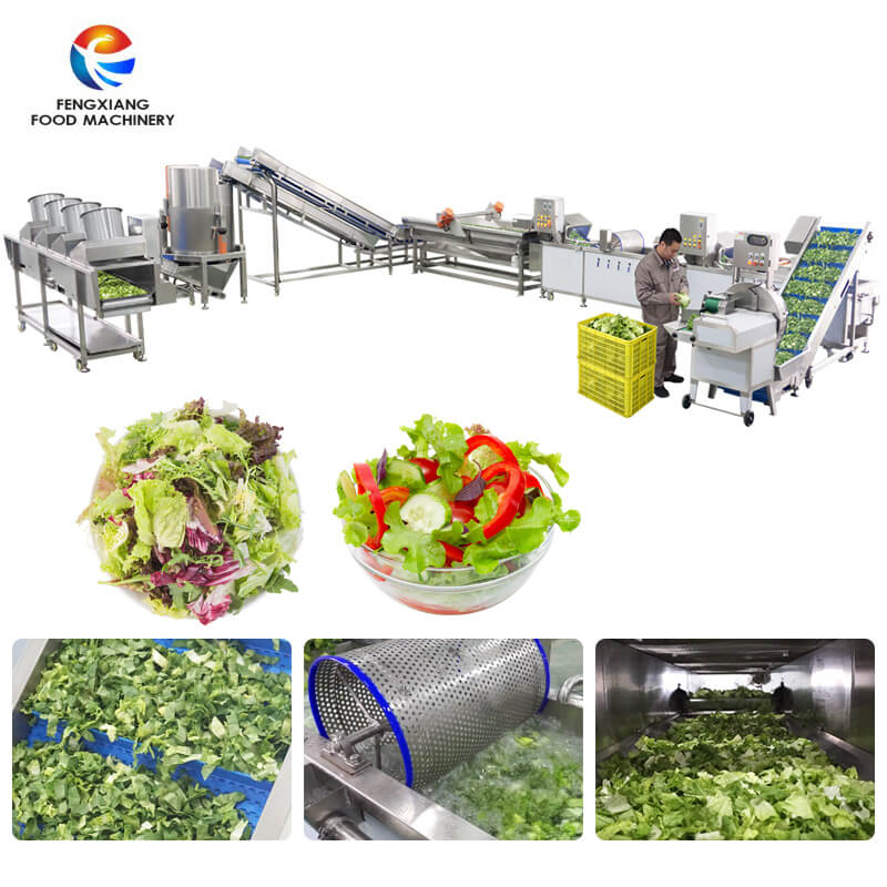 Линия переработки салатов для листовых овощей | Оборудование для мойки, резки и сушки