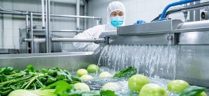промышленная машина для мойки овощей процесс очистки