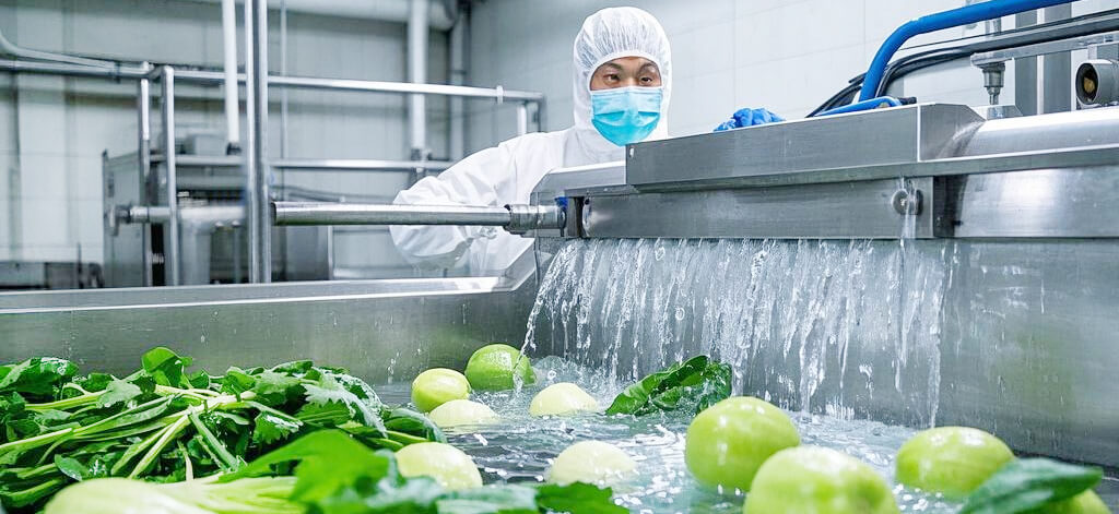 промышленная машина для мойки овощей процесс очистки