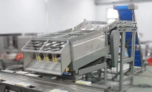 оборудование для переработки кукурузы