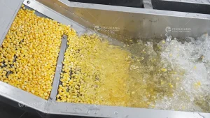 машина для мойки кукурузы