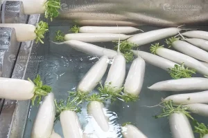 машина для мойки редиса