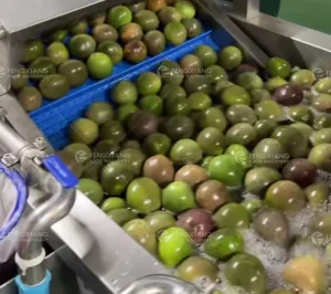 стиральная машина для маракуйи