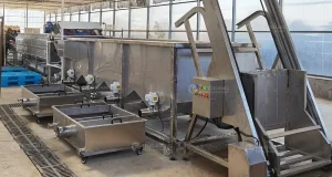 машина для мытья сладкого картофеля