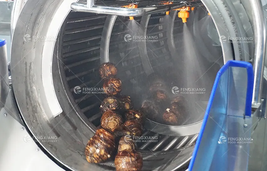 Линия переработки таро с быстрой заморозкой и упаковкой