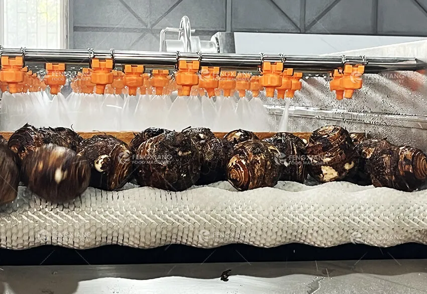 Линия переработки таро с быстрой заморозкой и упаковкой