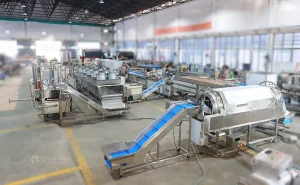 линия для мытья таро