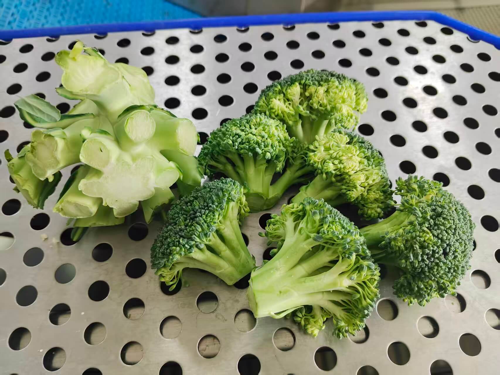 Промышленная машина для нарезки брокколи и цветной капусты на соцветия