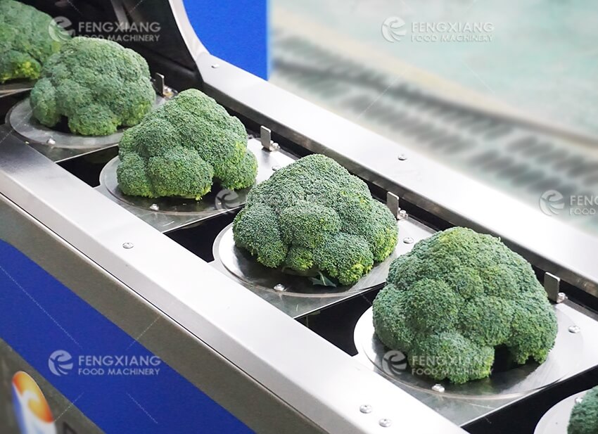 Промышленная машина для нарезки брокколи и цветной капусты на соцветия