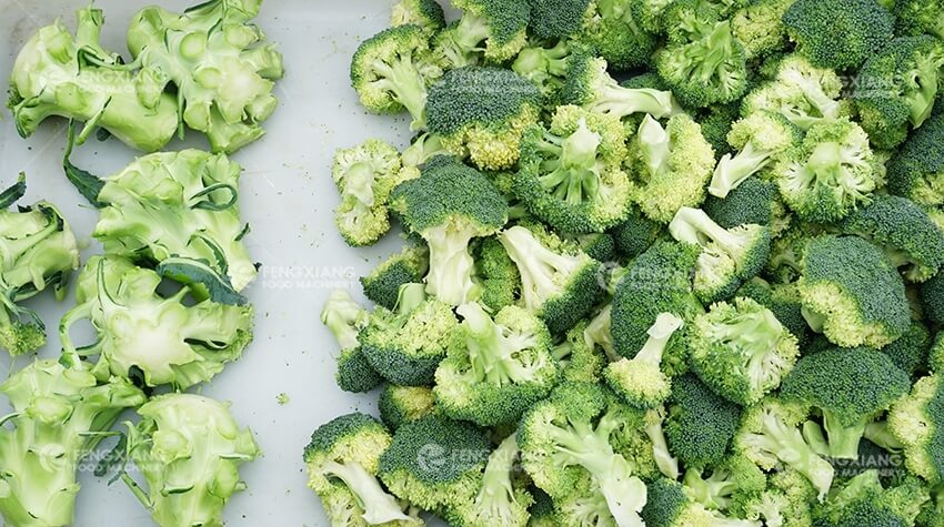 Промышленная машина для нарезки брокколи и цветной капусты на соцветия