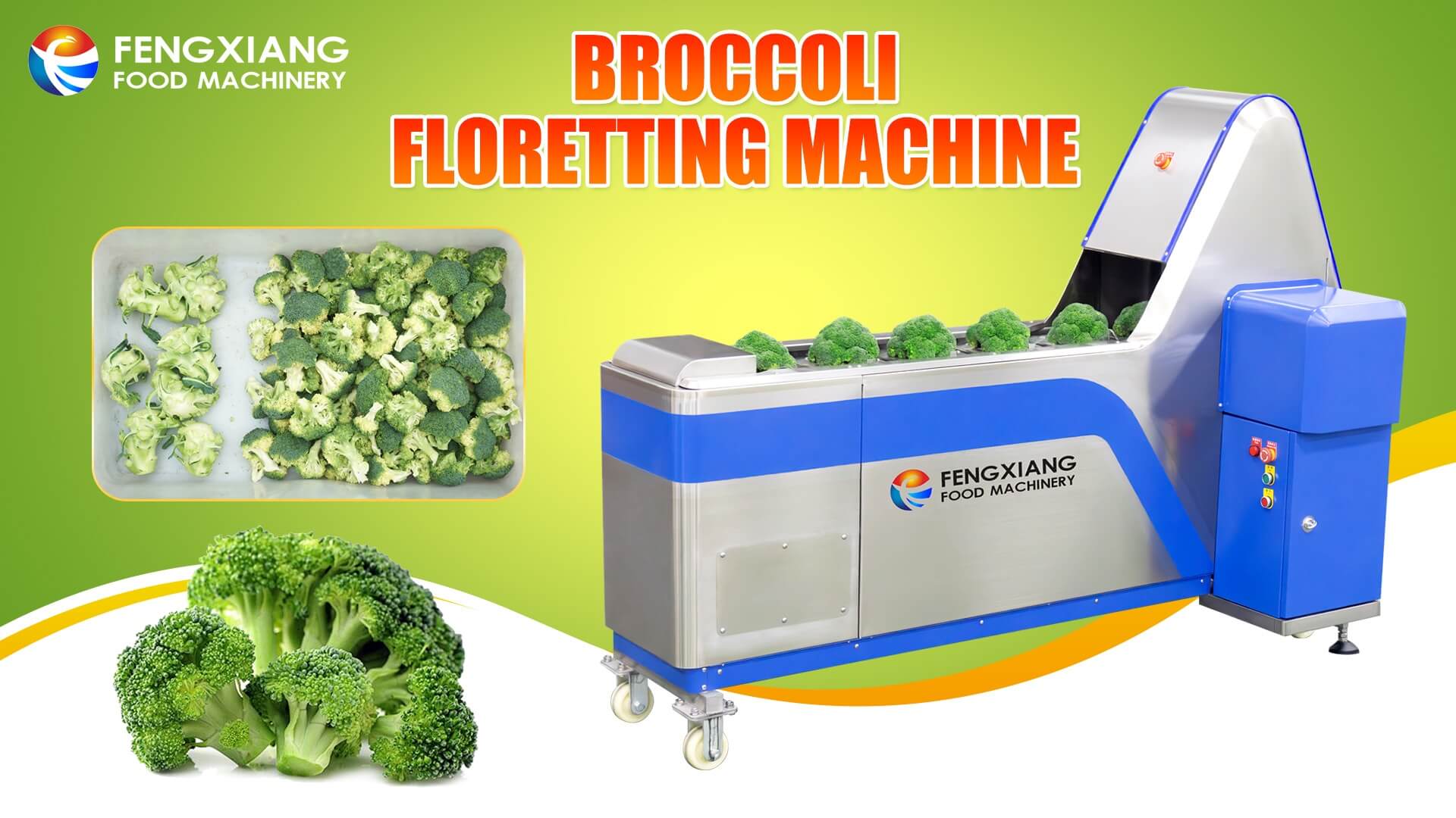 машина для разделения брокколи