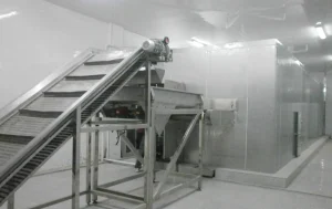 линия по производству замороженного таро