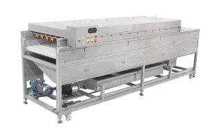 щеточная система очистки фруктов и овощей