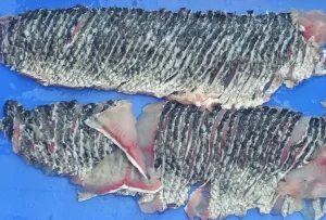 Машина для нарезки мяса рыбы