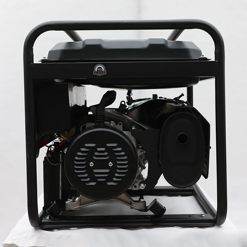 Однофазный, с ручным запуском