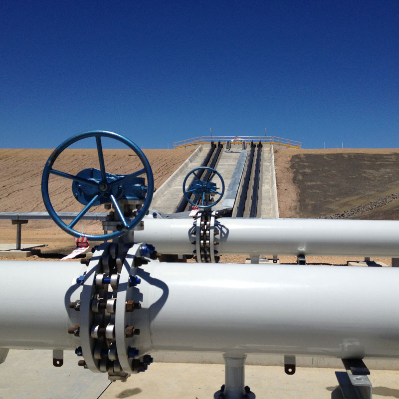 Дуплексные стальные поворотные затворы