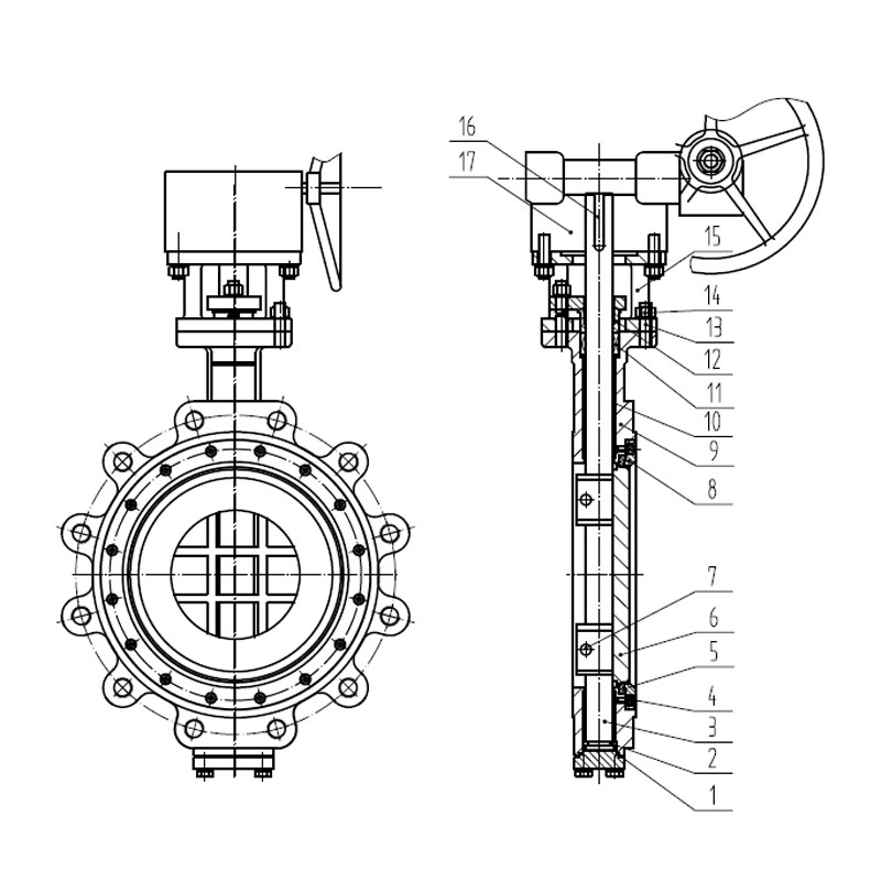 Дуплексные стальные поворотные затворы