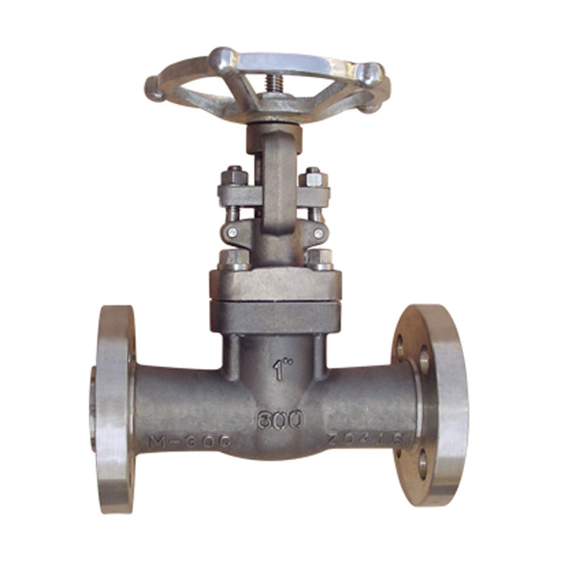 Задвижки из монеля