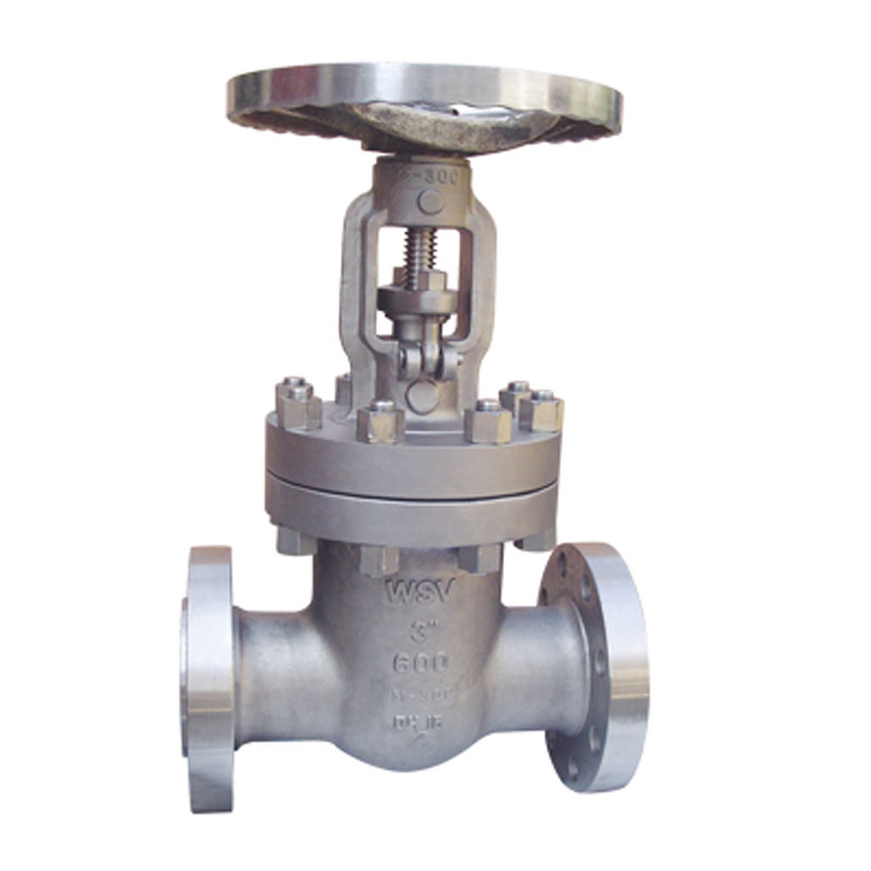 Задвижки из монеля