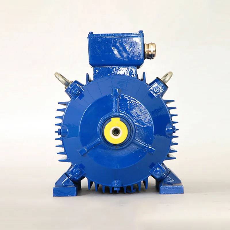 Трехфазный асинхронный электродвигатель серии HuE с подвижными лапами