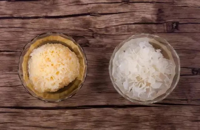 △Слева — обычный мешочный тремелла, справа — тунцзянский тремелла