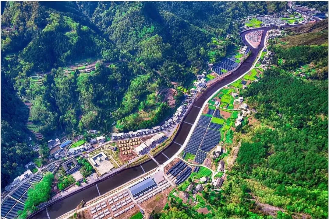 Индустриальный парк по производству серебряного гриба Тунцзян