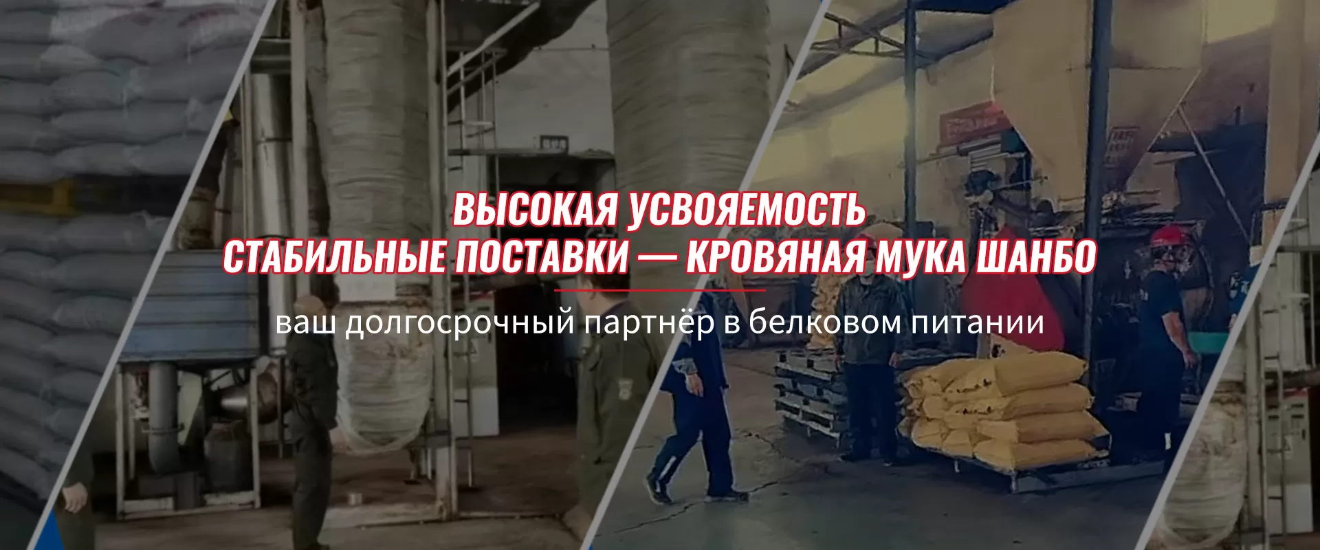 Кровяная мука-banner1 (3)