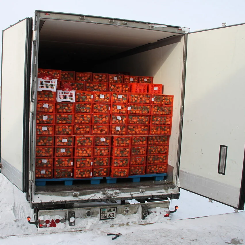 Доставка из Китая в Беларусь: новые маршруты и актуальные тарифы 2026